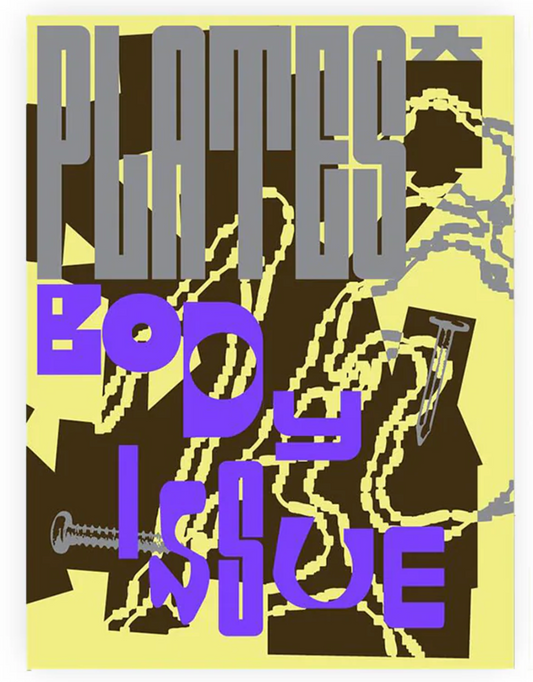 PLATES ITERATION: 2 BODY ISSUE