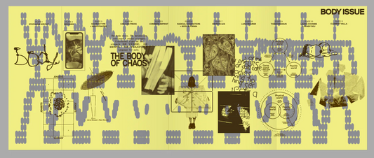 PLATES ITERATION: 2 BODY ISSUE