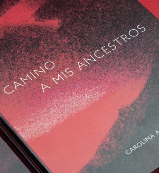 CAMINO A MI ANCESTROS
