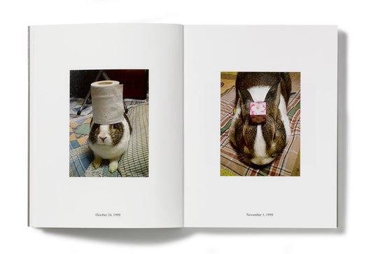 IN ALMOST EVERY PICTURE #8 (Oolong- conejo) | Erik Kessels and Hironori Akutagawa.