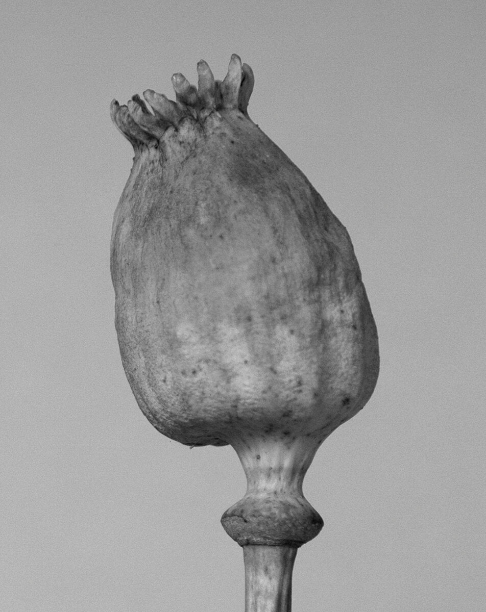 Enfocar
