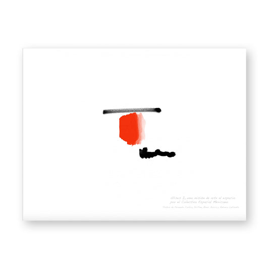 EL ERRANTE EDITOR