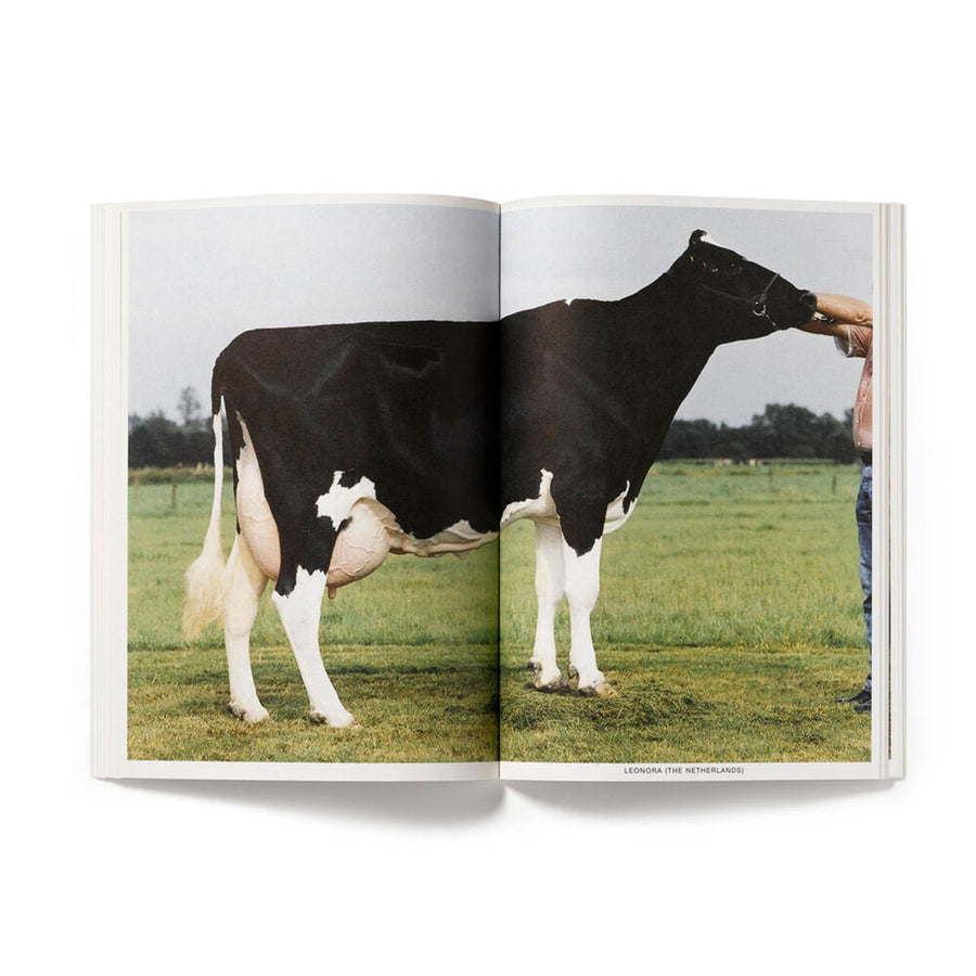 USEFUL PHOTOGRAPHY #005 | Erik Kessels