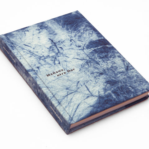 Mañana, otra flor | Soledad Borches