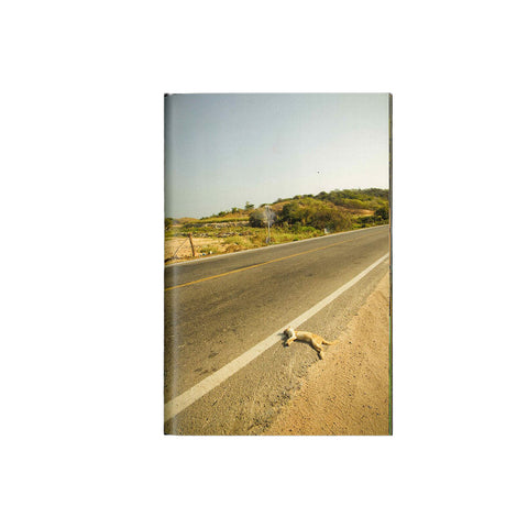 Carretera Nacional | Melba Arellano