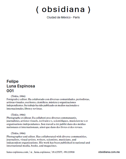 Obsidiana 001 / Felipe Luna Espinosa