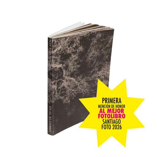 Hay pájaros en el alambre | Gabriela García Rivas