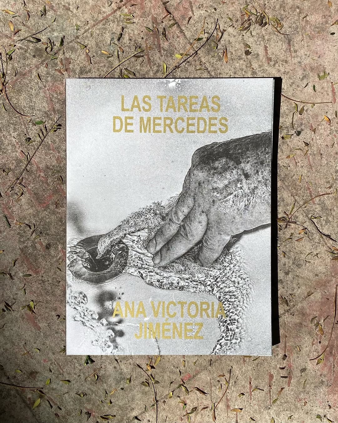 Enfocar