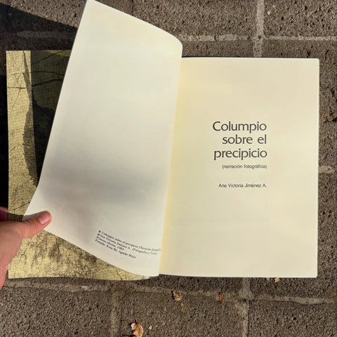 Columpio sobre el precipicio | Ana Victoria Jiménez