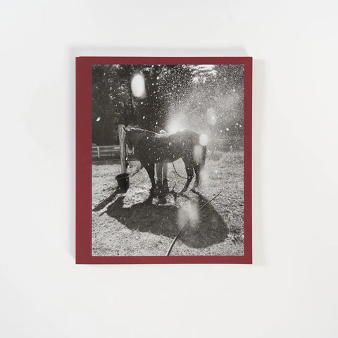 Calling The Birds Home | CHERYLE ST. ONGE