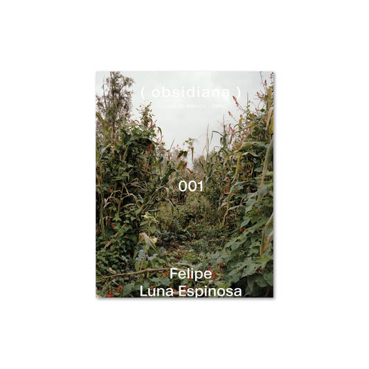 Obsidiana 001 / Felipe Luna Espinosa
