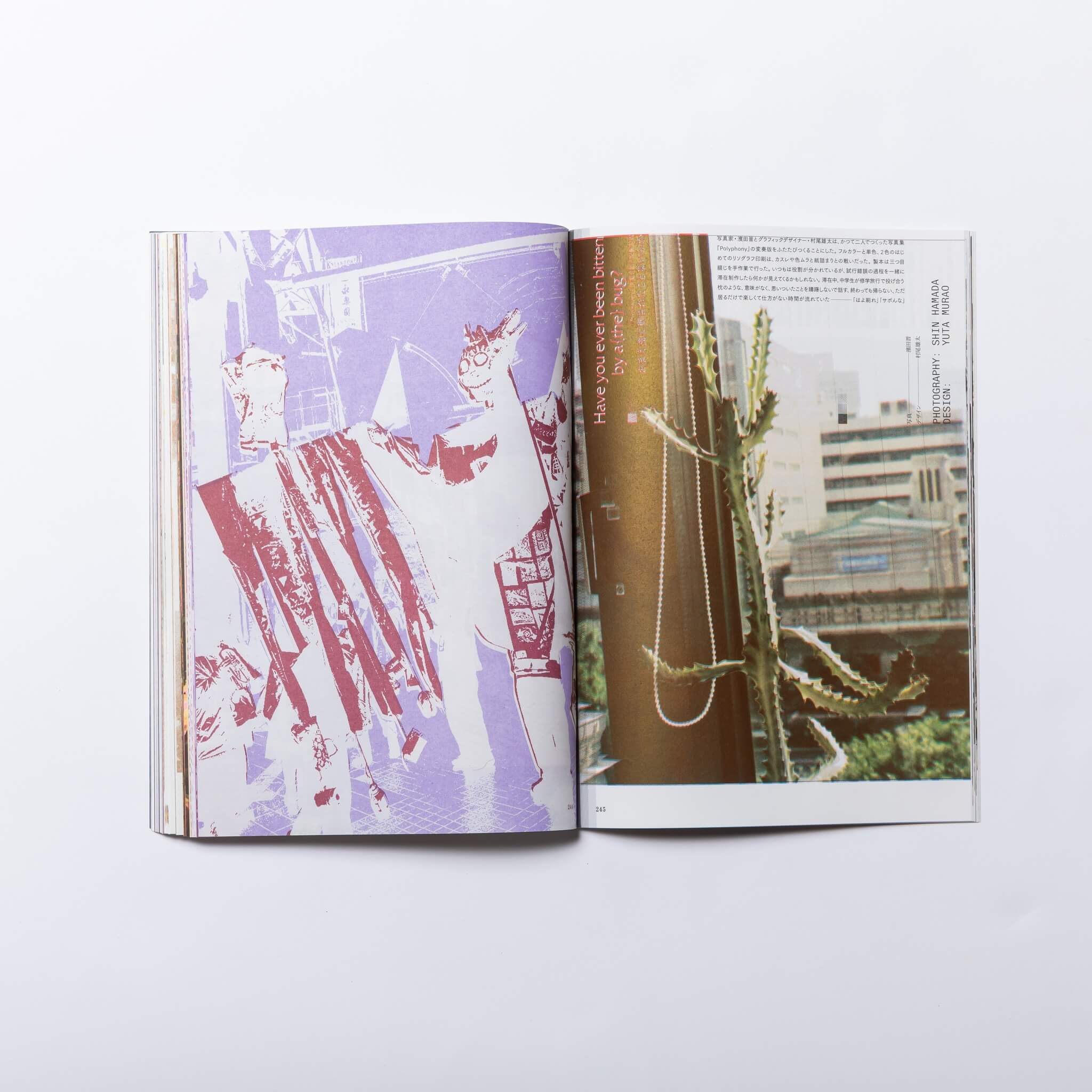 Enfocar