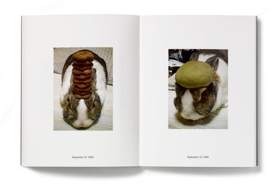 IN ALMOST EVERY PICTURE #8 (Oolong- conejo) | Erik Kessels and Hironori Akutagawa.