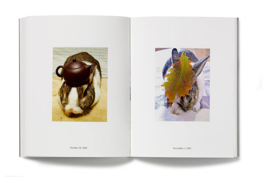 IN ALMOST EVERY PICTURE #8 (Oolong- conejo) | Erik Kessels and Hironori Akutagawa.