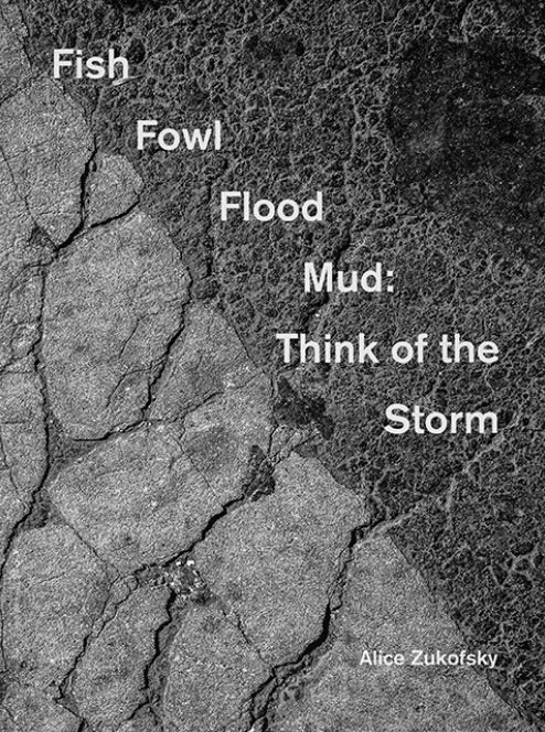 Fish Fowl Flood Mud: Think of the Storm | Alice Zukofsky