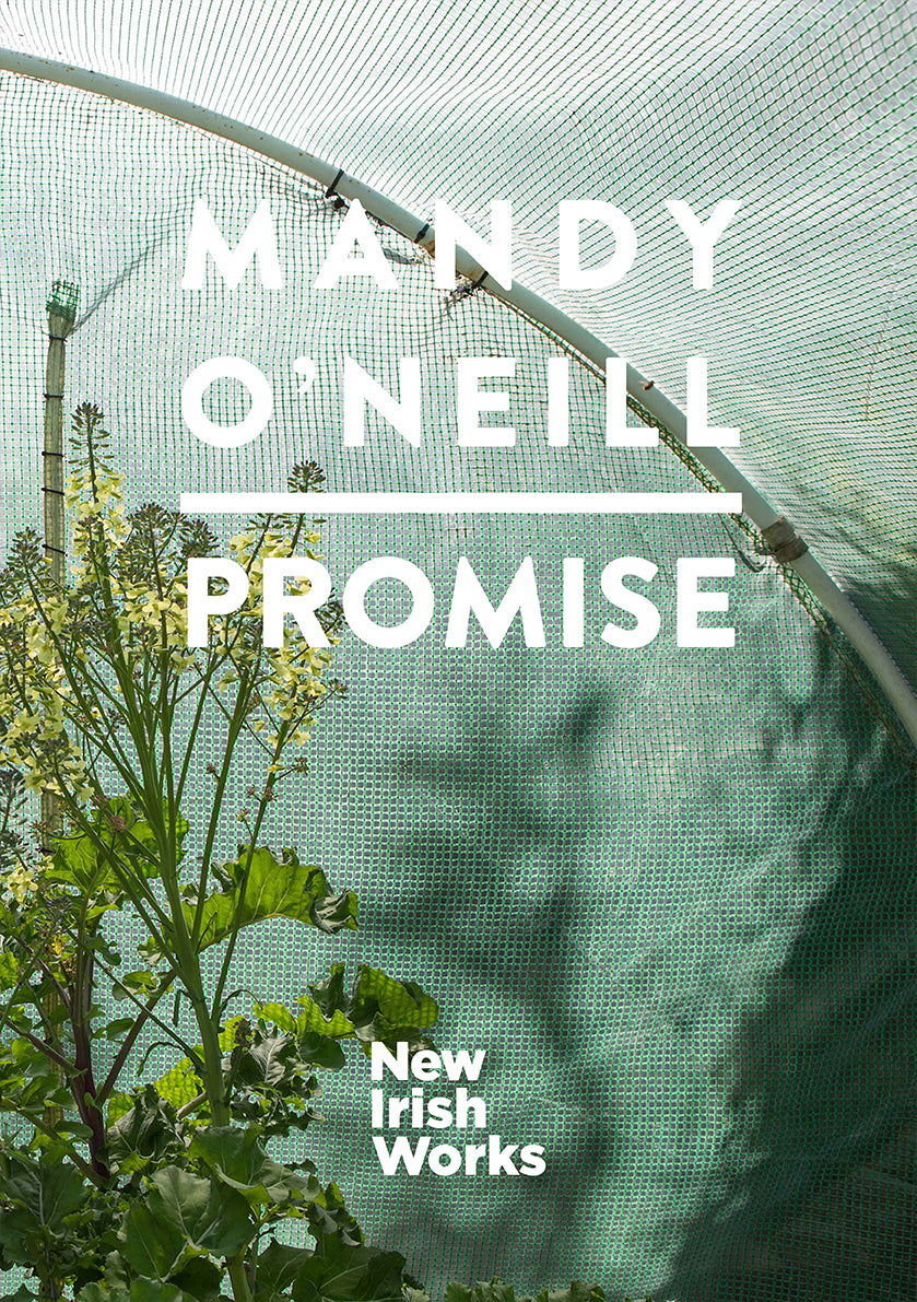 Promise | Mandy O´Neill