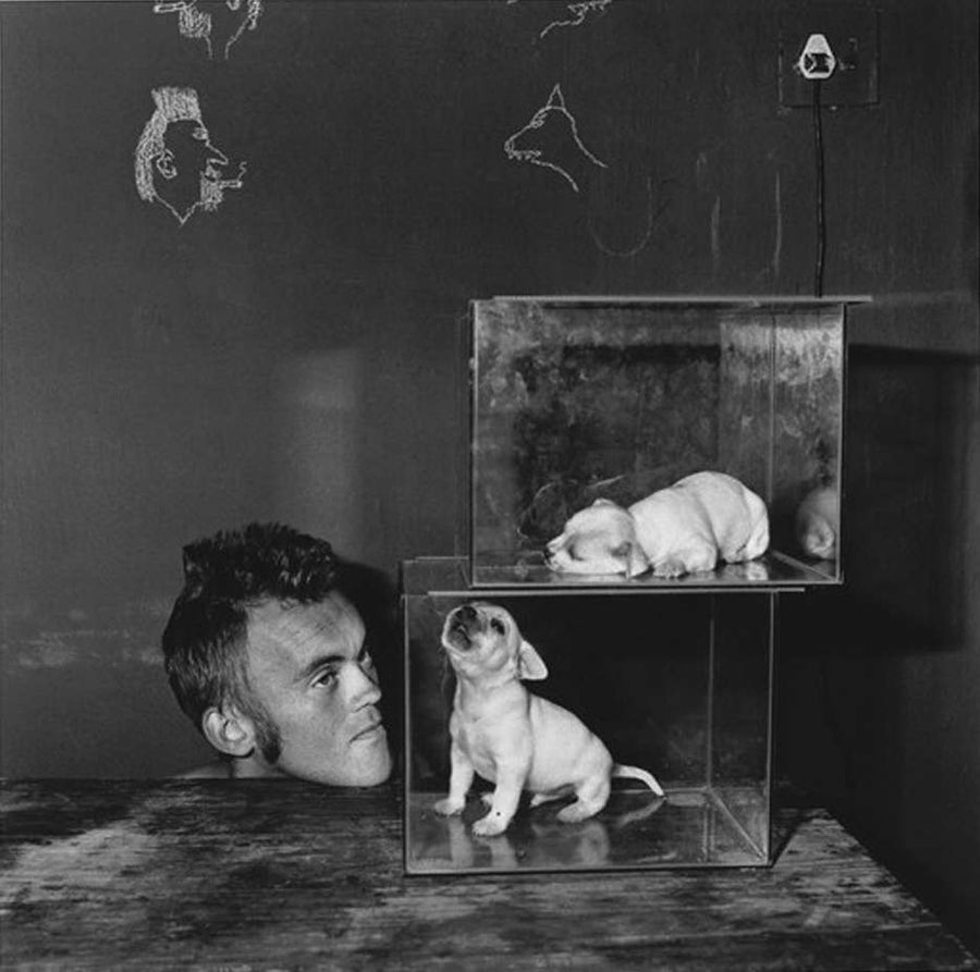 Puppies in fishtanks | Roger Ballen