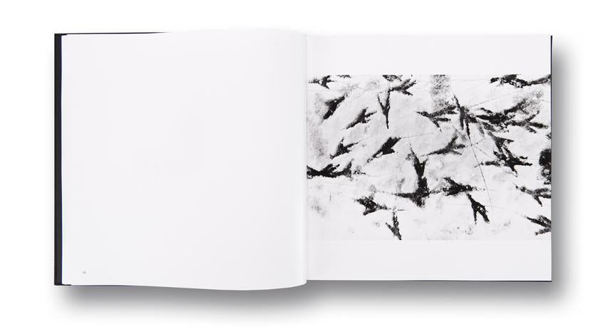 Ravens | Masahisa Fukase