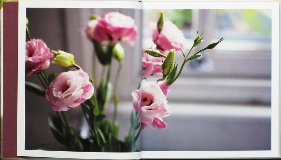 Tulip | Celine Marchbank