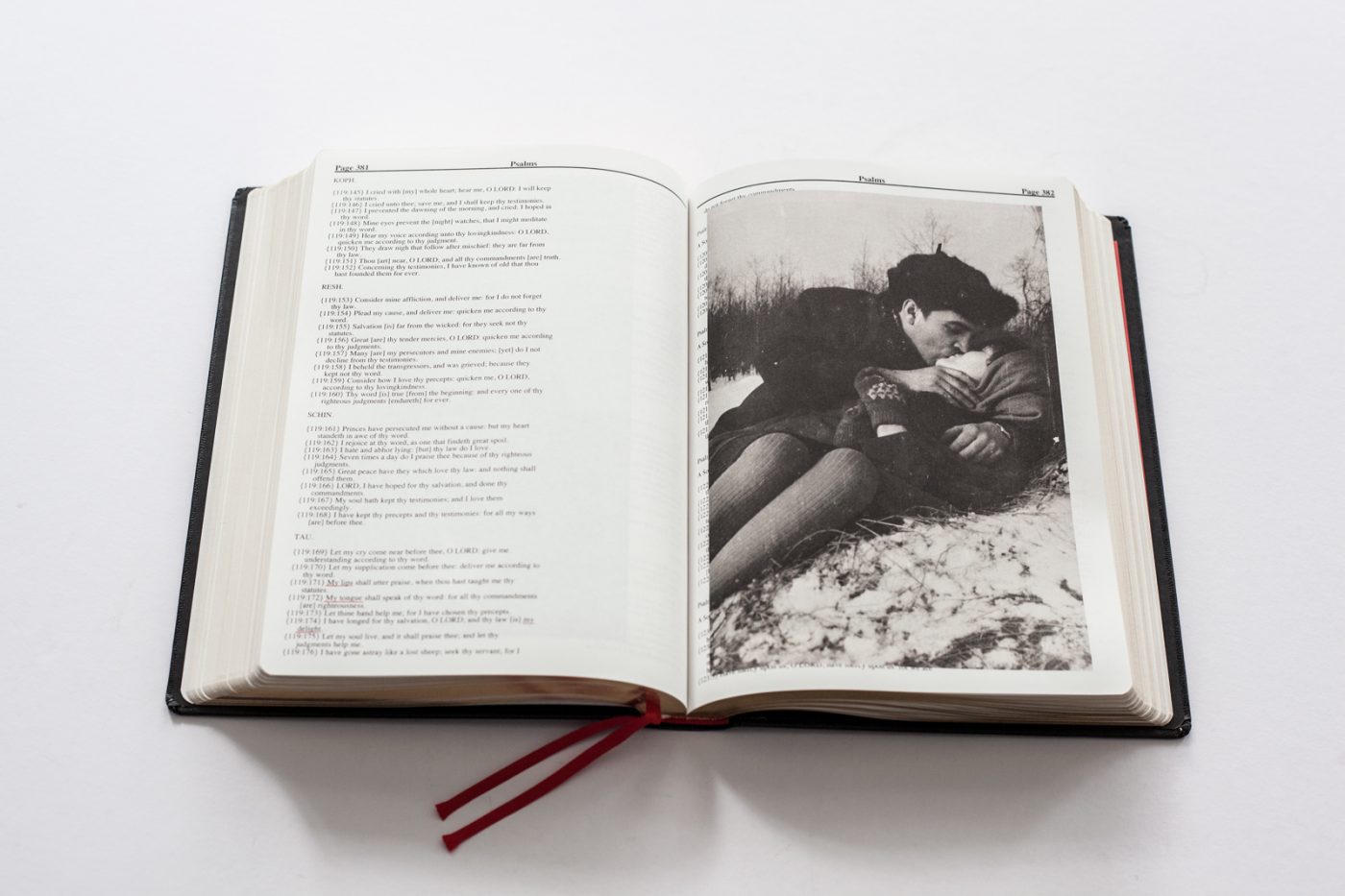 Holy Bible Primera Edición | Adam Broomberg & Oliver Chanarin